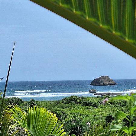 Villa Muscade Guadeloupe, Piscine, Vue Mer Et Acces Plage سانت فرانسوا المظهر الخارجي الصورة